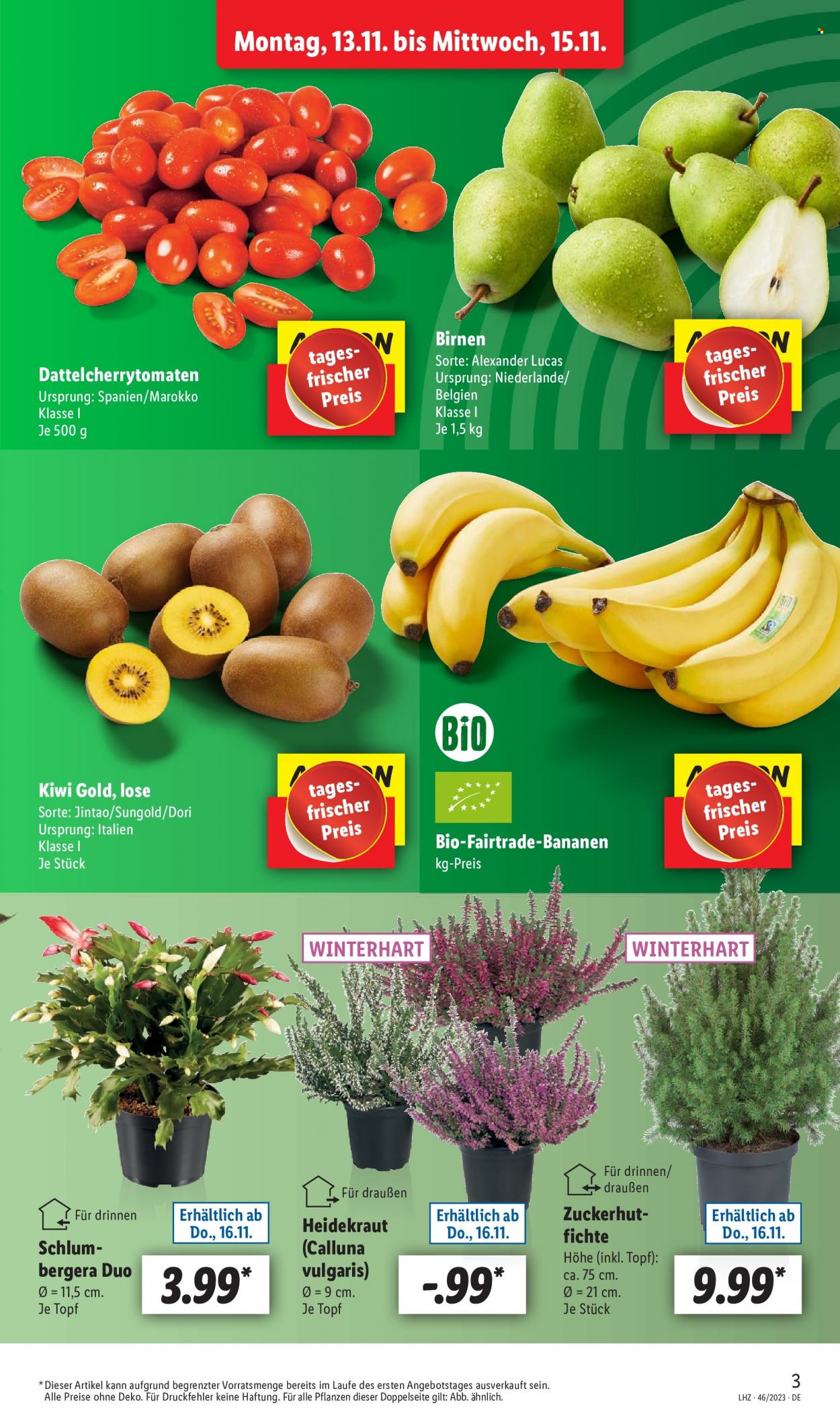 Lidl Prospekte  - 13.11.2023 - 18.11.2023. Seite 3