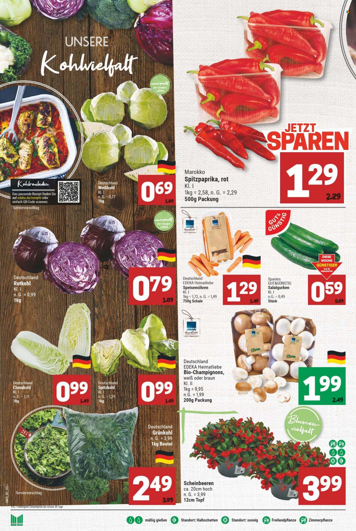 Marktkauf Prospekte  - 6.11.2023 - 11.11.2023. Seite 6