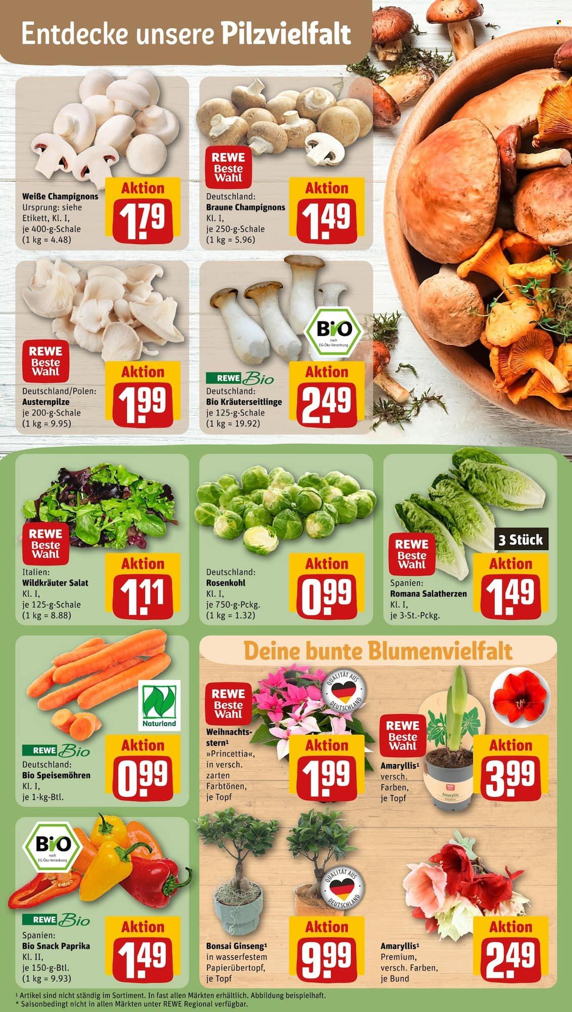 REWE Prospekte  - 6.11.2023 - 11.11.2023. Seite 7
