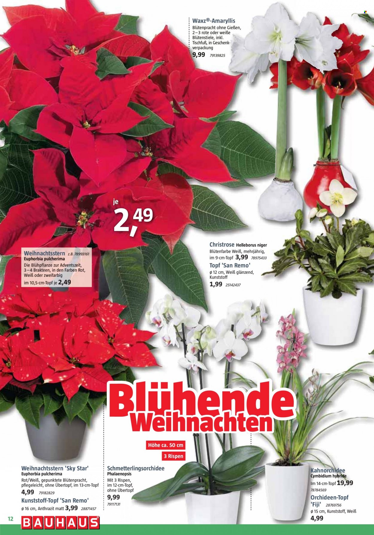 Bauhaus Prospekte  - 2.12.2023 - 30.12.2023. Seite 12