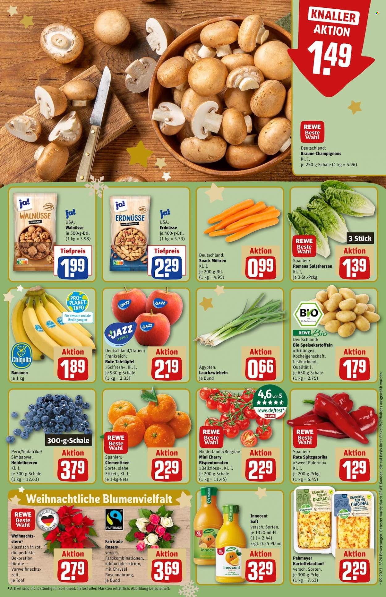 REWE Prospekte  - 4.12.2023 - 9.12.2023. Seite 12