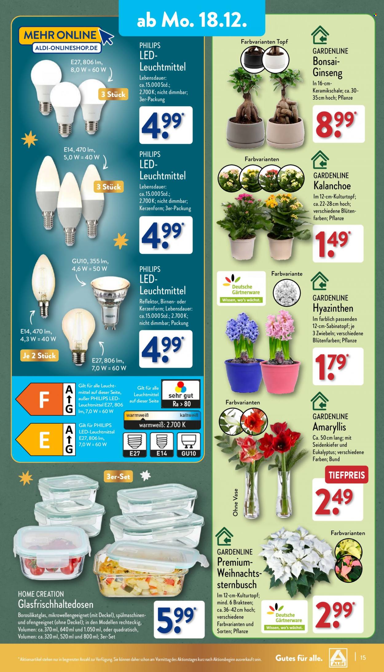 ALDI Nord Prospekte  - 18.12.2023 - 23.12.2023. Seite 15