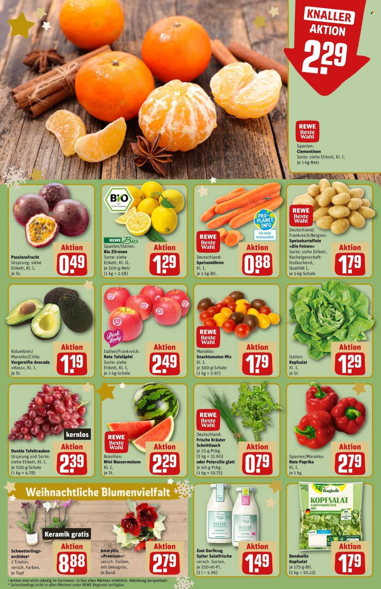 REWE Prospekte  - 18.12.2023 - 23.12.2023. Seite 12