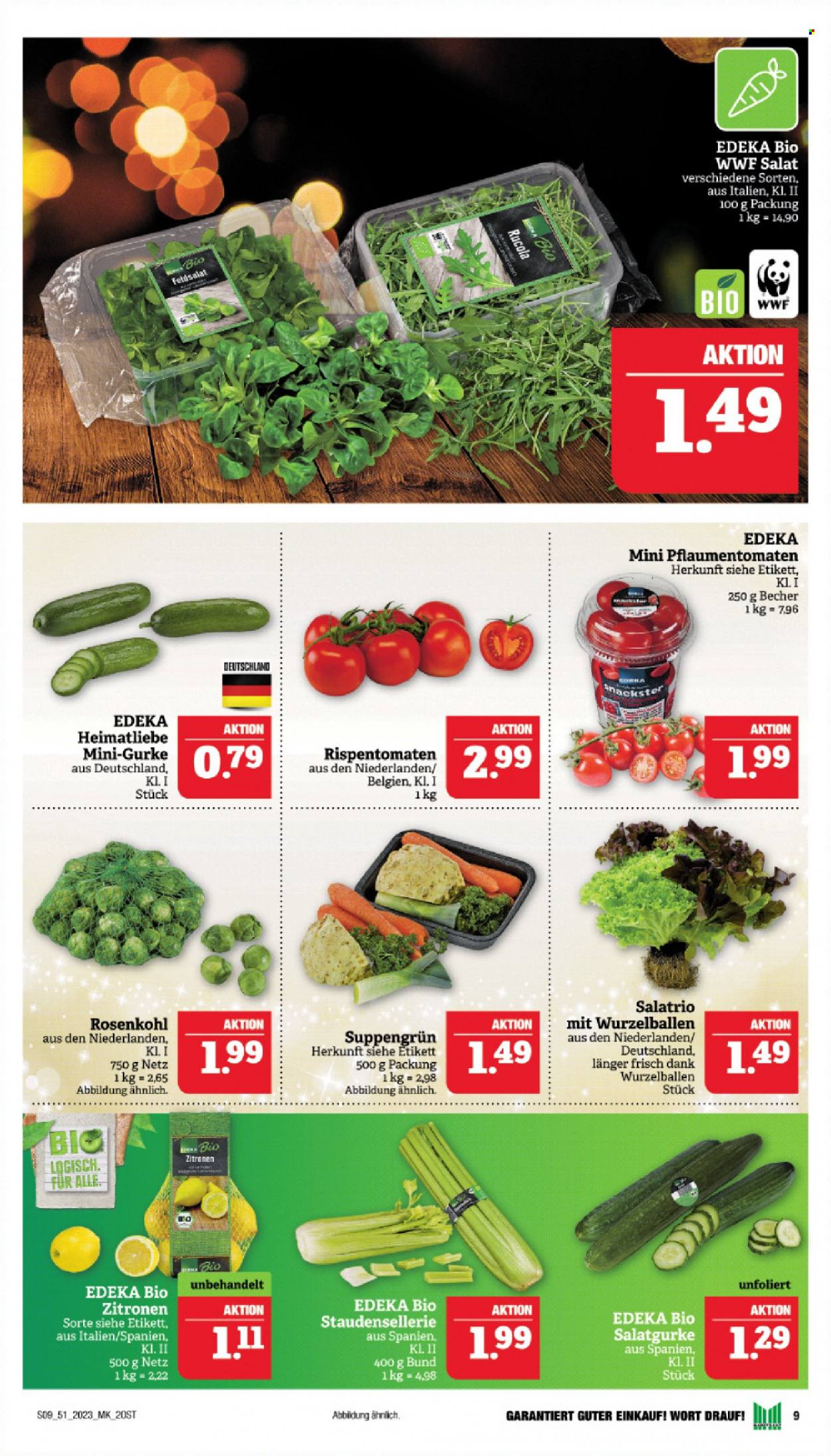 Marktkauf Prospekte  - 18.12.2023 - 23.12.2023. Seite 9