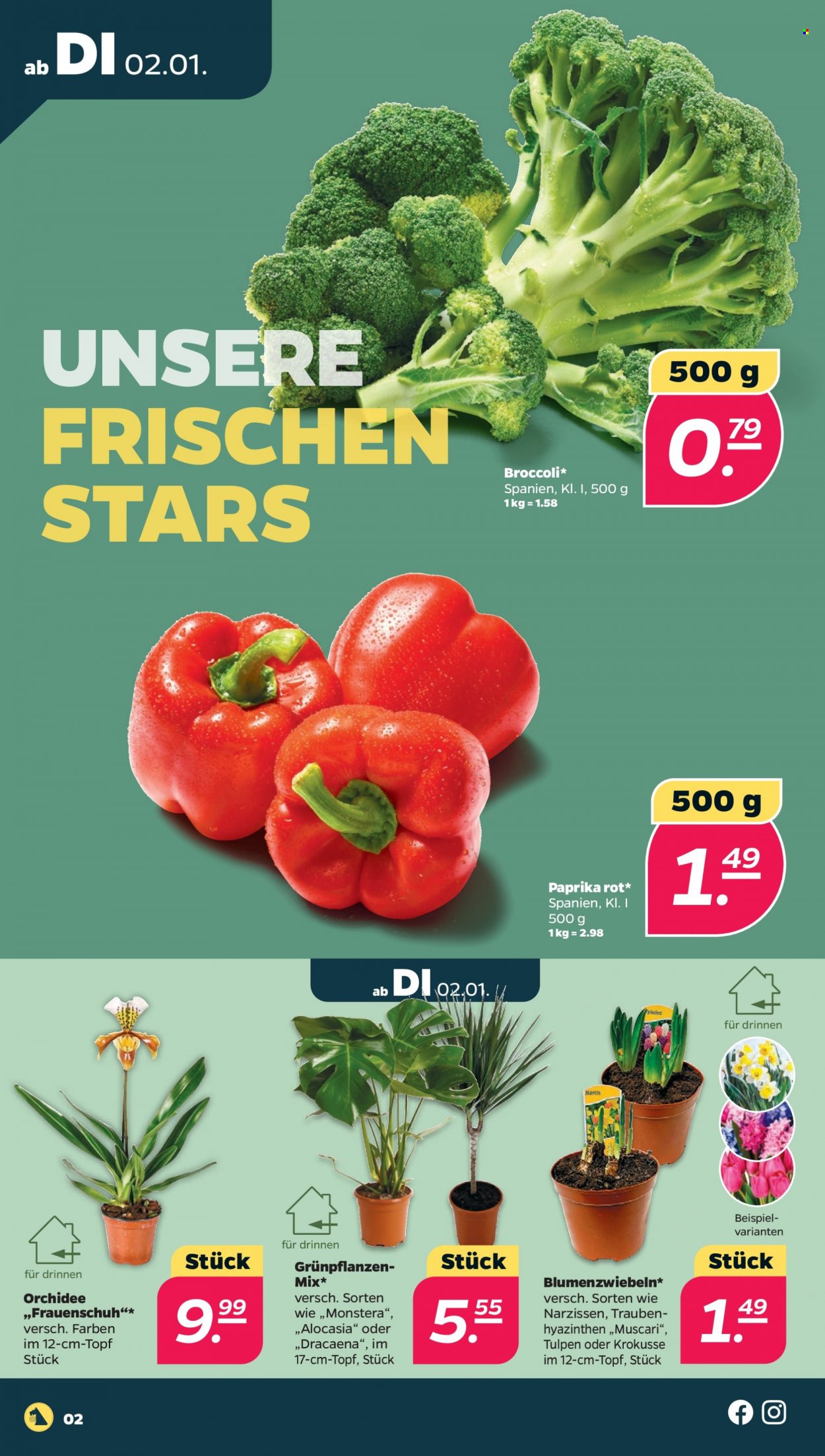 Netto Prospekte  - 2.01.2024 - 6.01.2024. Seite 2