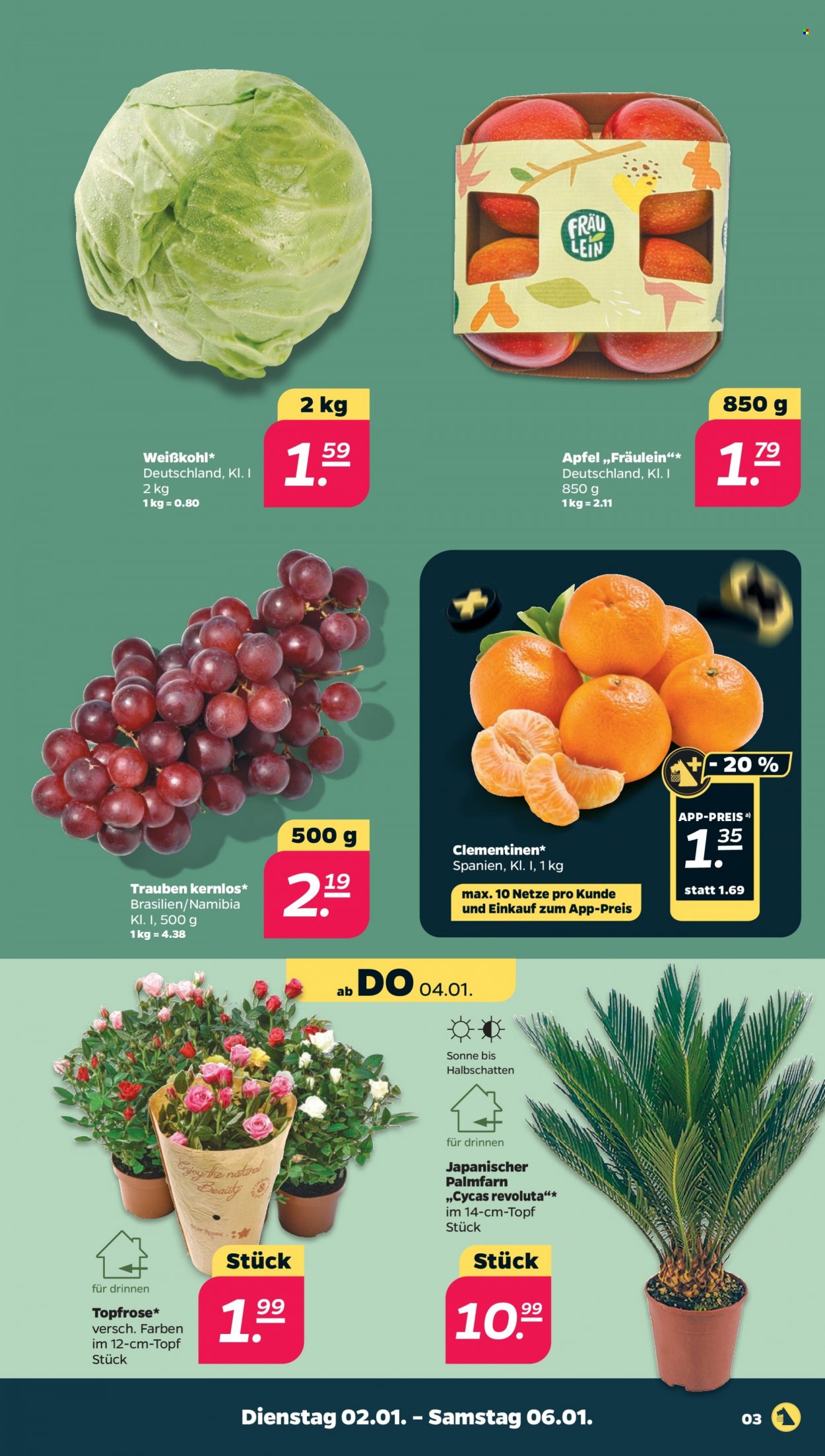 Netto Prospekte  - 2.01.2024 - 6.01.2024. Seite 3