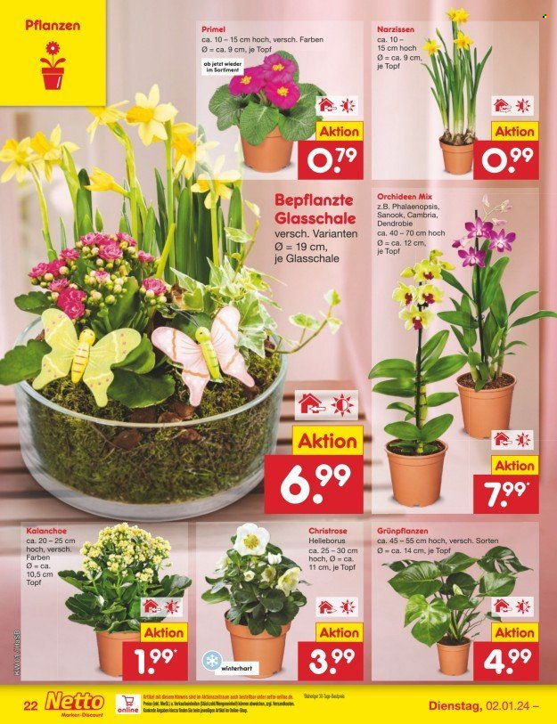 Netto Marken-Discount Prospekte  - 2.01.2024 - 6.01.2024. Seite 26