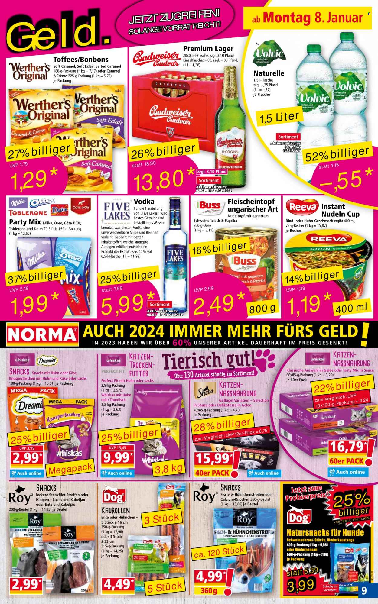 Norma Prospekte  - 8.01.2024 - 14.01.2024. Seite 9