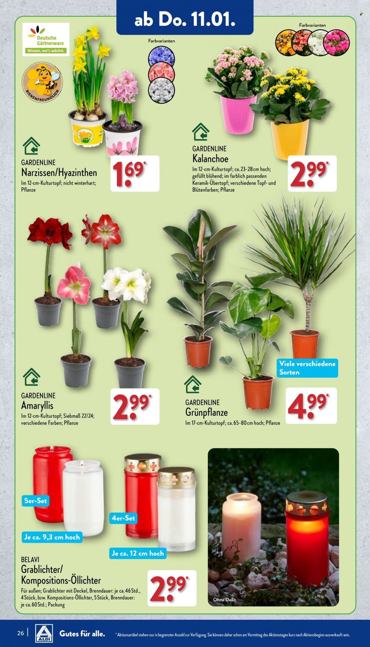 ALDI Nord Prospekte  - 8.01.2024 - 13.01.2024. Seite 26