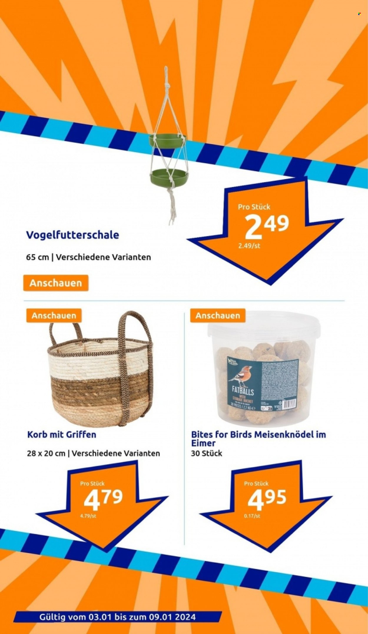 Action Prospekte  - 3.01.2024 - 9.01.2024. Seite 17