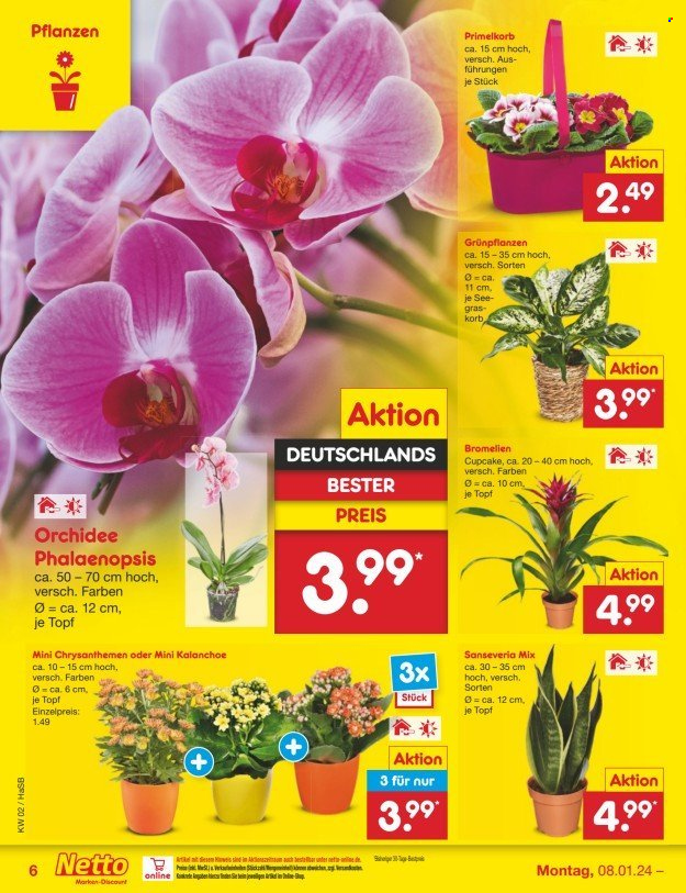 Netto Marken-Discount Prospekte  - 8.01.2024 - 13.01.2024. Seite 6