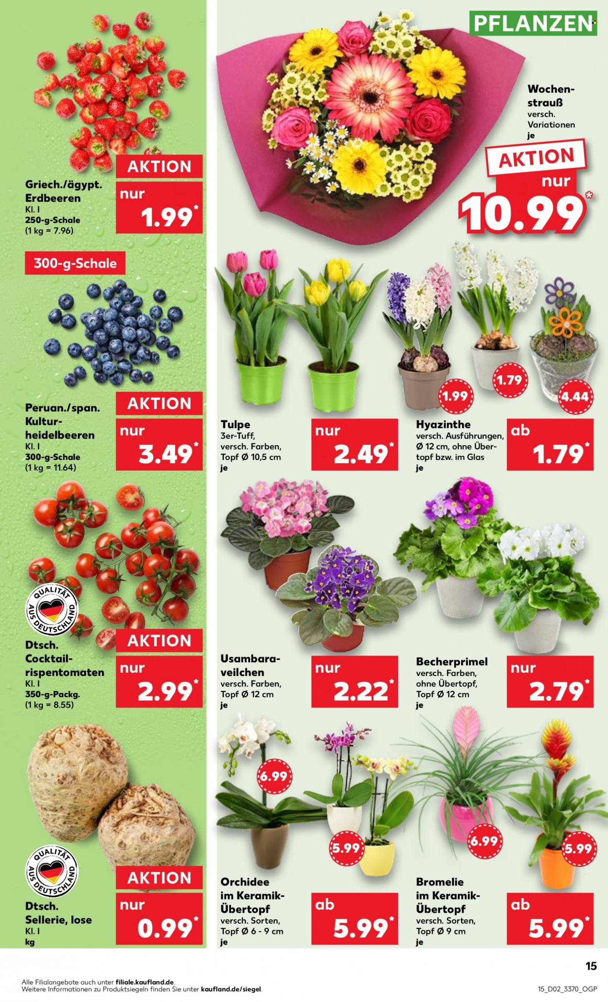 Kaufland Prospekte  - 11.01.2024 - 17.01.2024. Seite 15