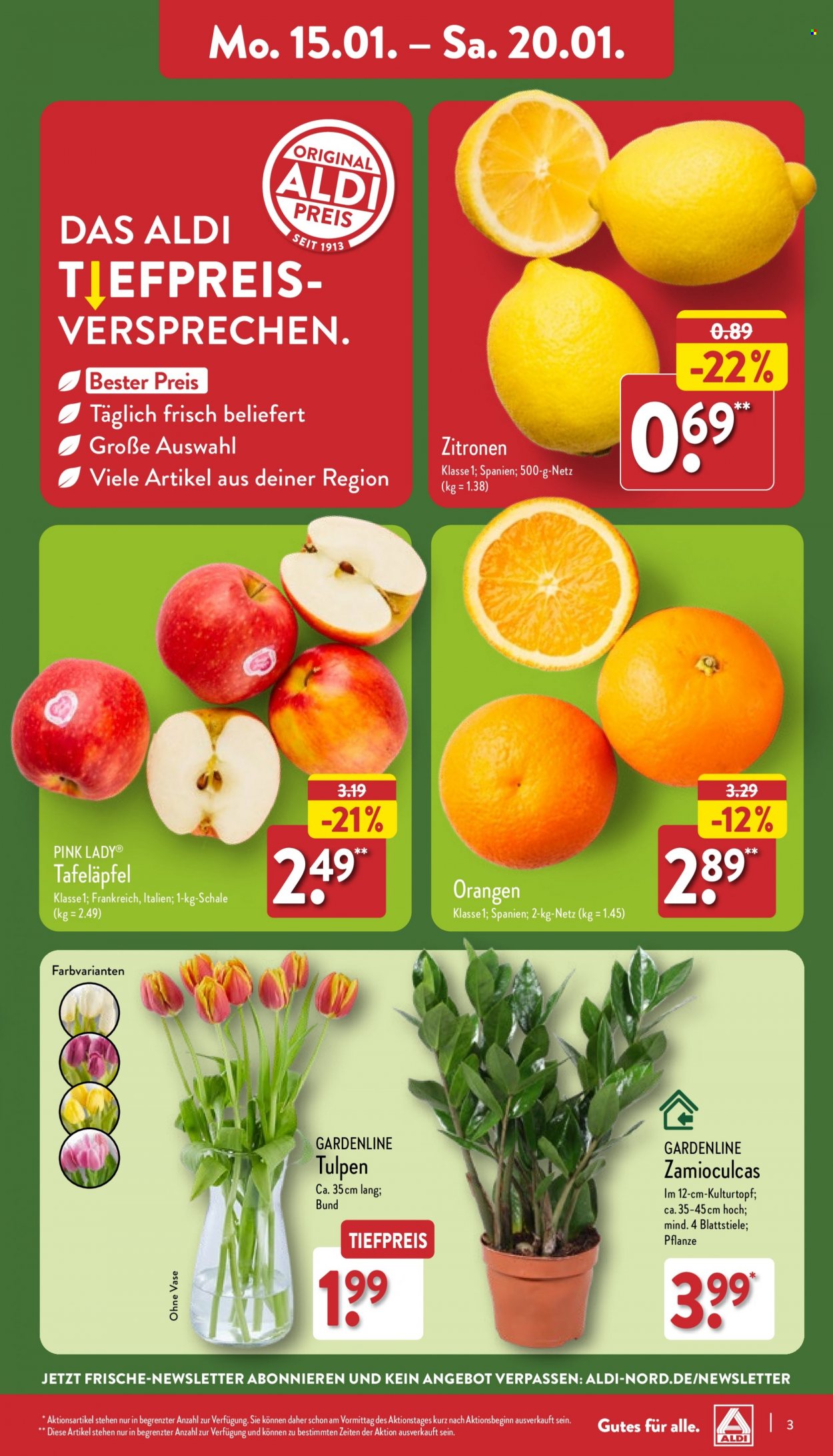 ALDI Nord Prospekte  - 15.01.2024 - 20.01.2024. Seite 3