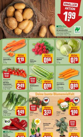 thumbnail - Italien : Pakchoi je 300g