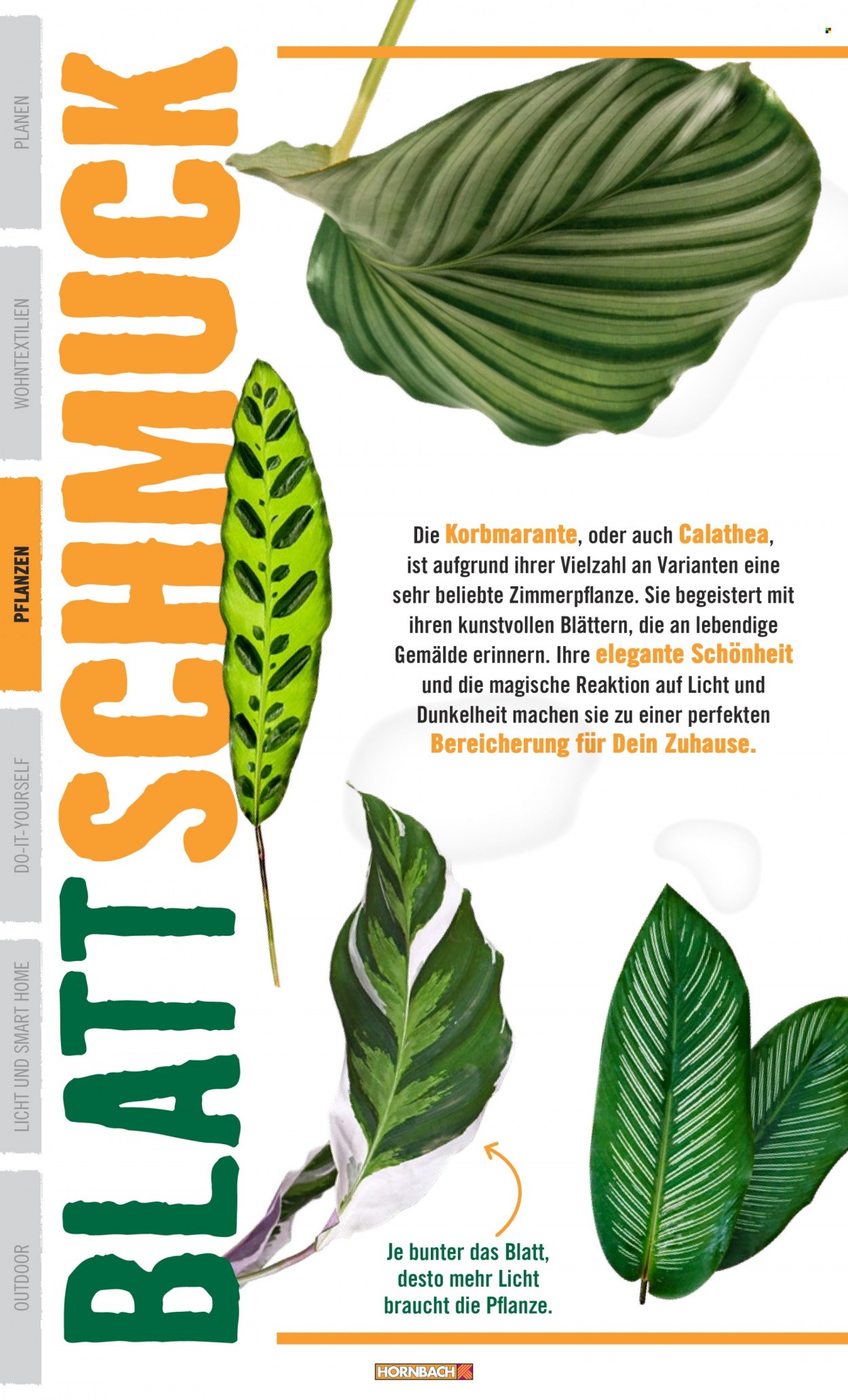 Hornbach Prospekte . Seite 22