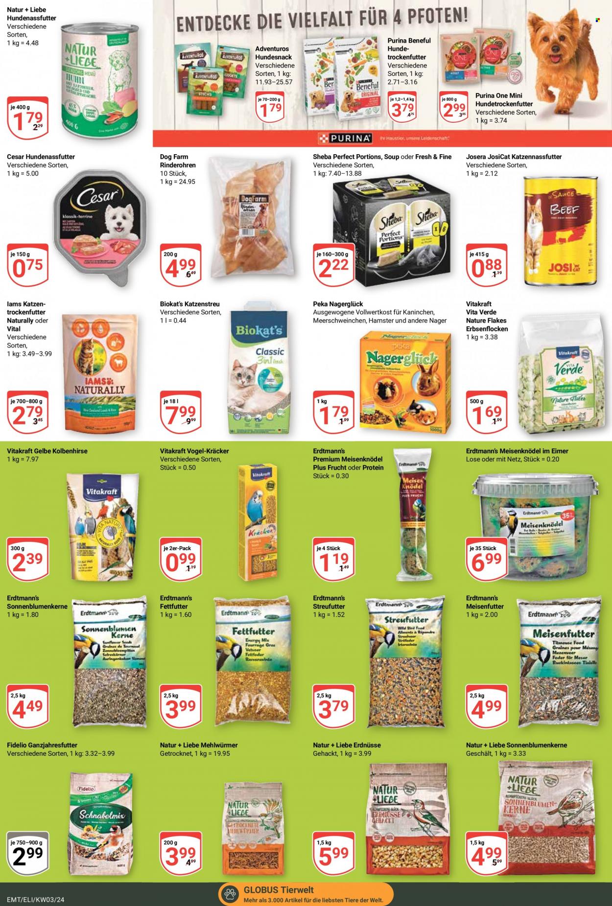 Globus Prospekte  - 15.01.2024 - 20.01.2024. Seite 19