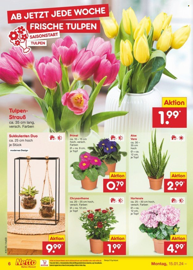 Netto Marken-Discount Prospekte  - 15.01.2024 - 20.01.2024. Seite 6