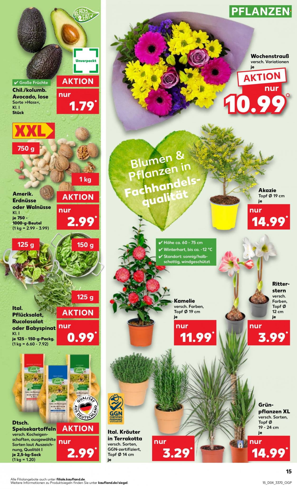 Kaufland Prospekte  - 25.01.2024 - 31.01.2024. Seite 15
