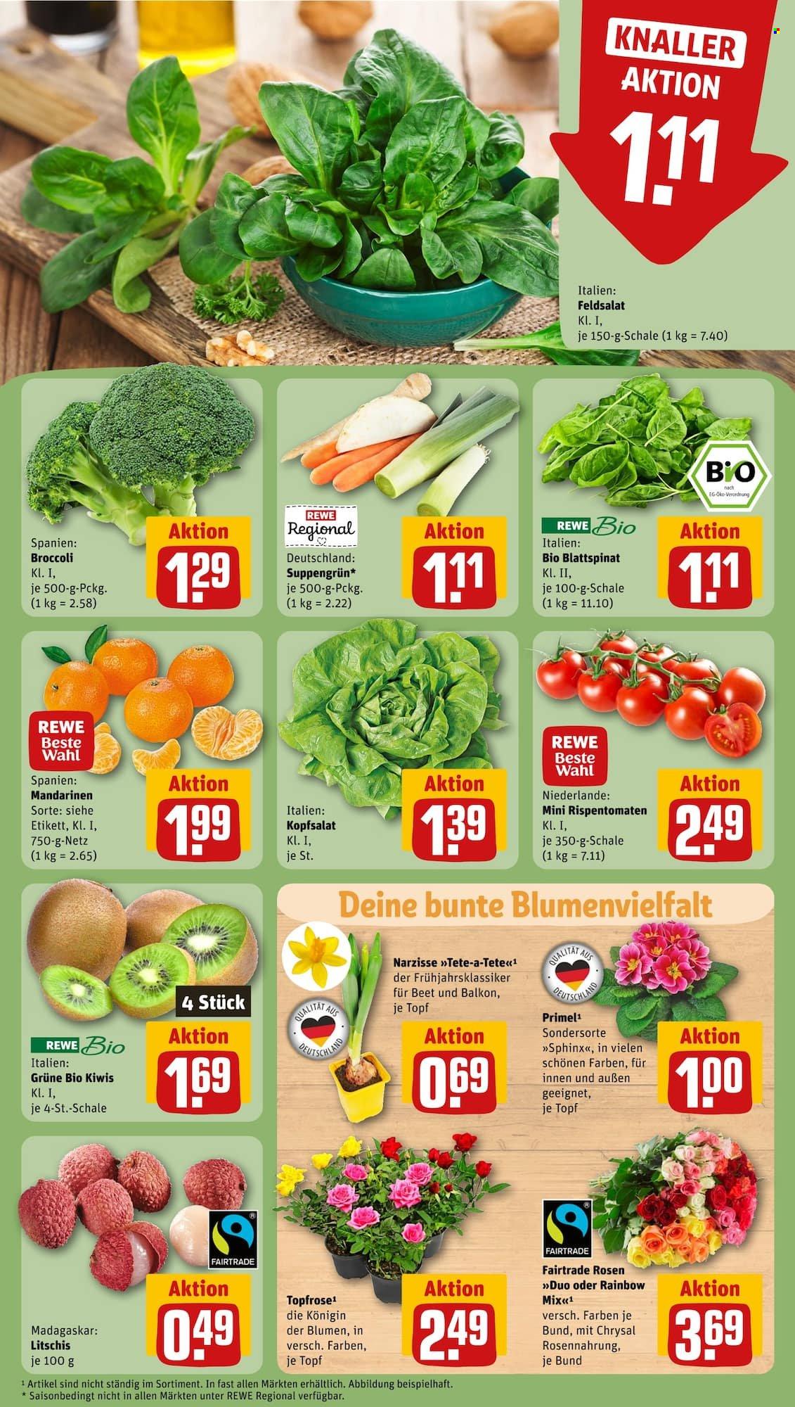 REWE Prospekte  - 22.01.2024 - 27.01.2024. Seite 7