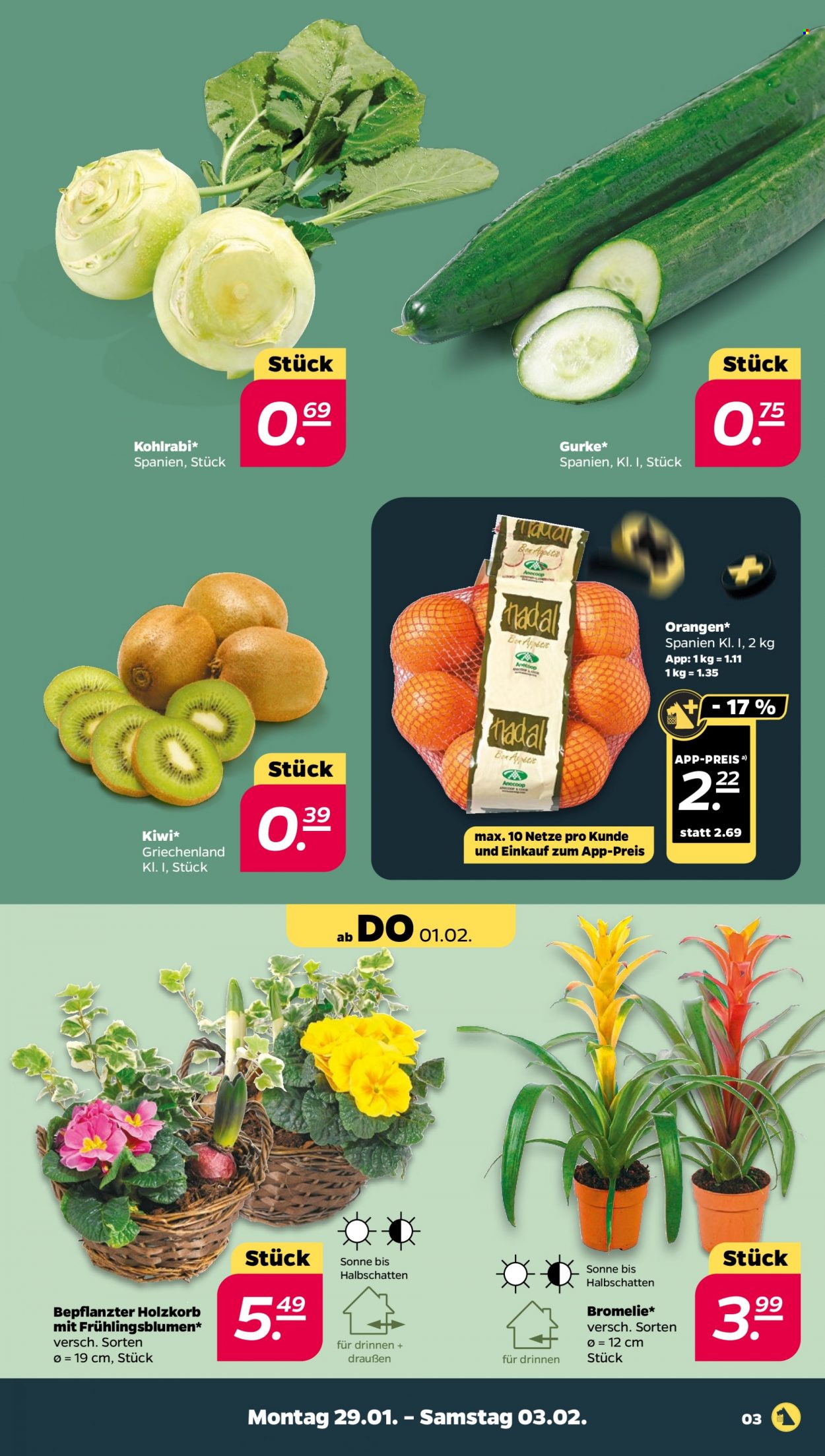 Netto Prospekte  - 29.01.2024 - 3.02.2024. Seite 3