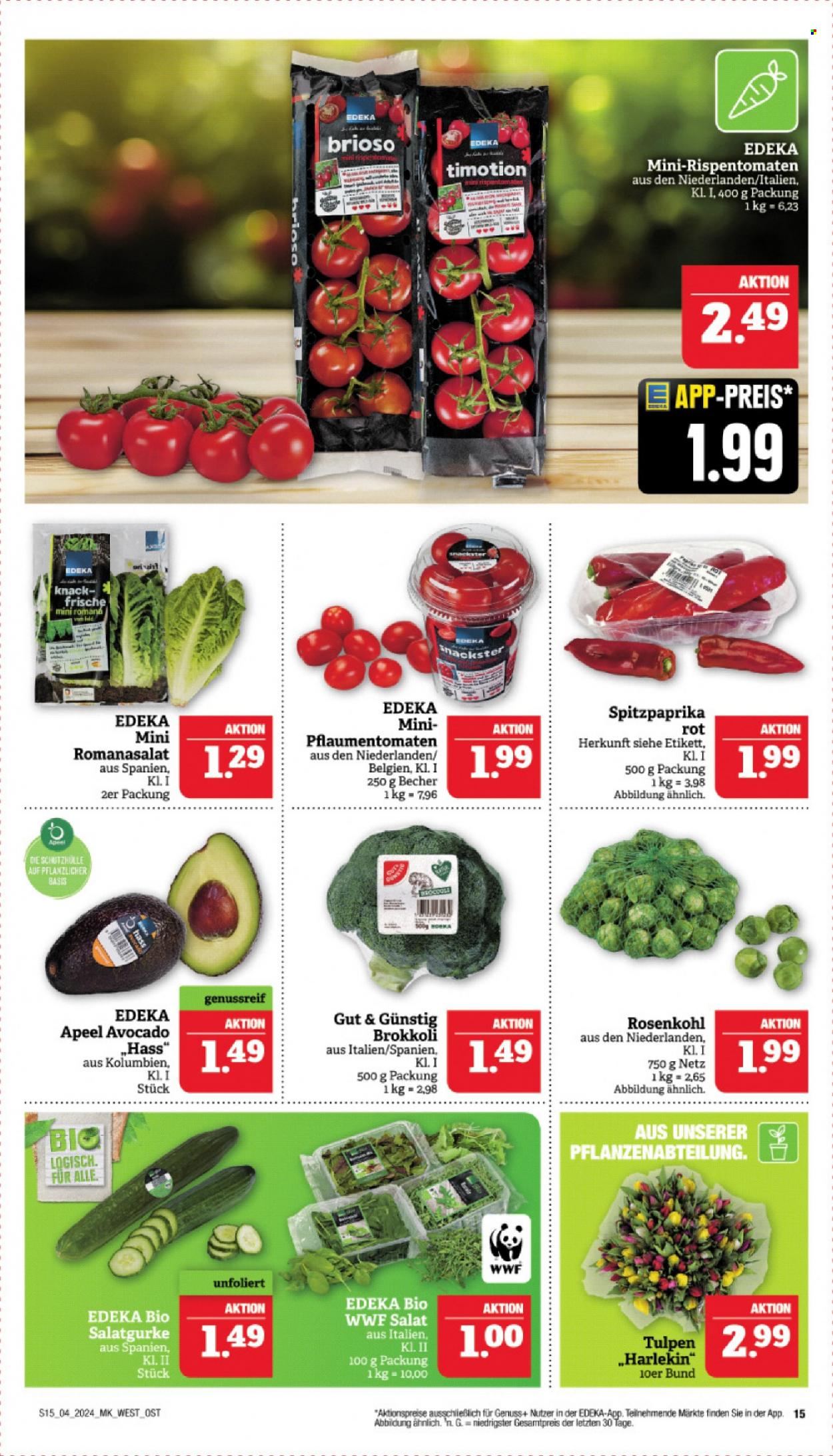 Marktkauf Prospekte  - 22.01.2024 - 27.01.2024. Seite 15