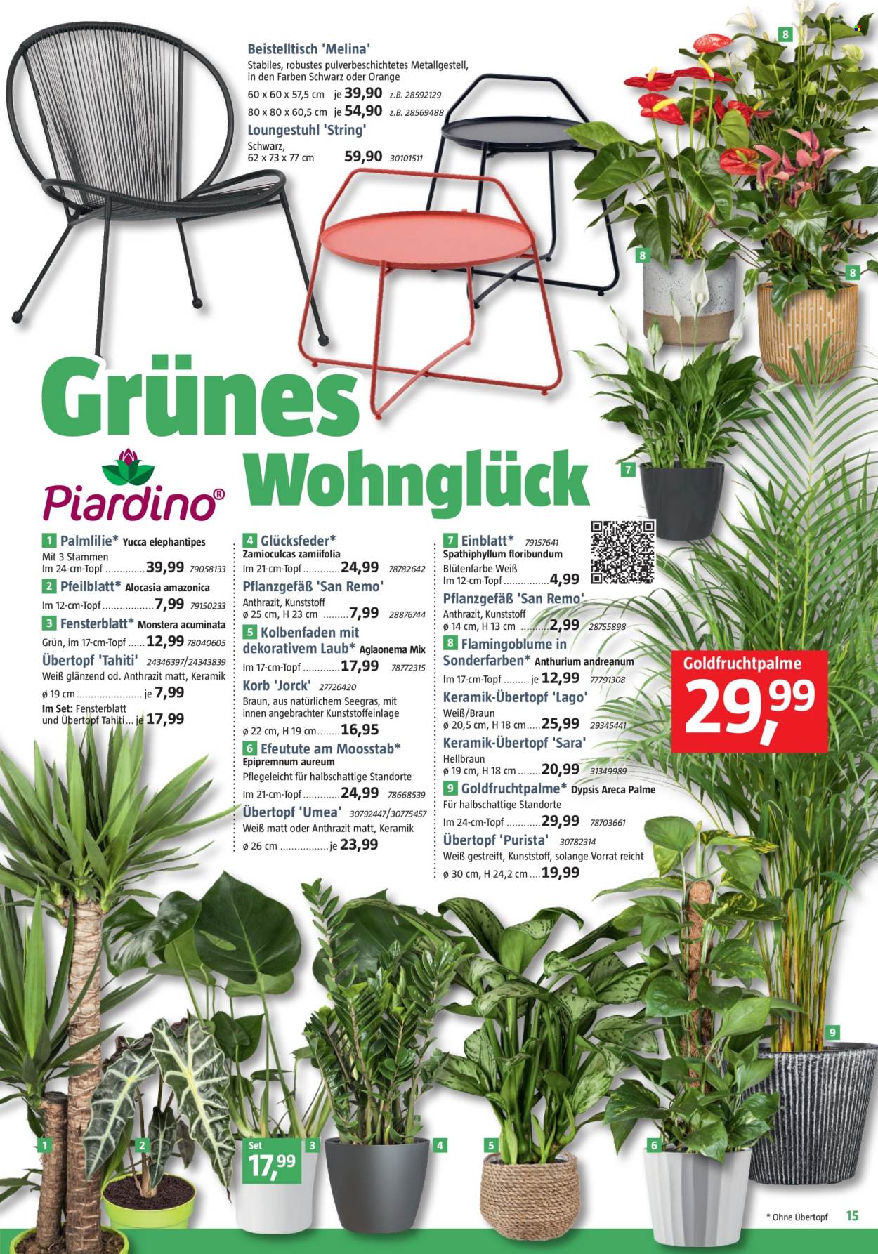 Bauhaus Prospekte  - 27.01.2024 - 24.02.2024. Seite 15