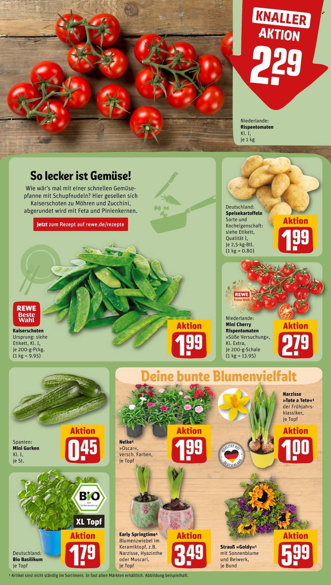REWE Prospekte  - 29.01.2024 - 3.02.2024. Seite 9