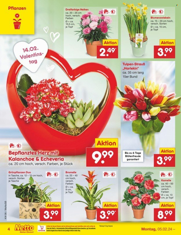 Netto Marken-Discount Prospekte  - 5.02.2024 - 10.02.2024. Seite 4