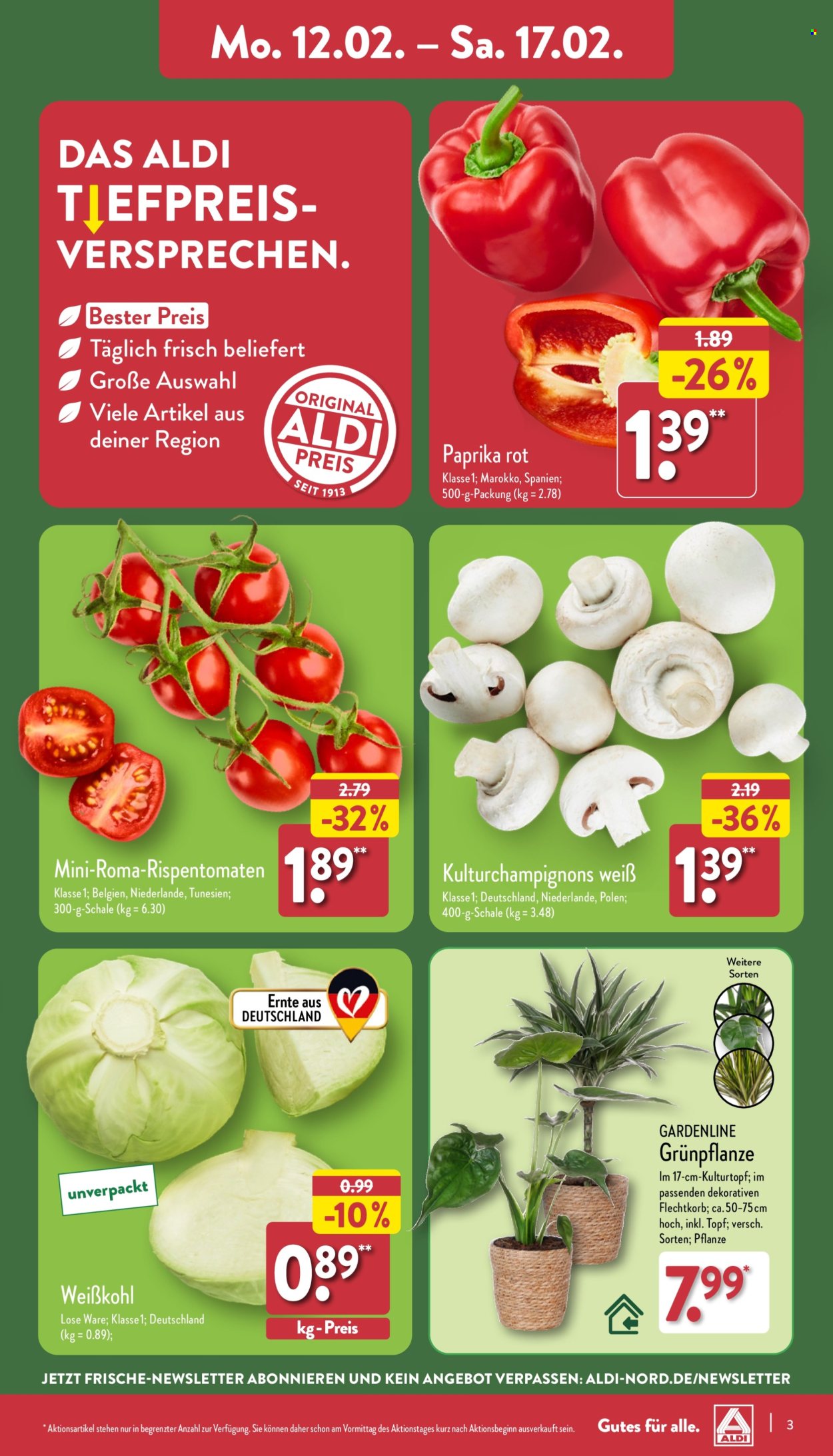 ALDI Nord Prospekte  - 12.02.2024 - 17.02.2024. Seite 3