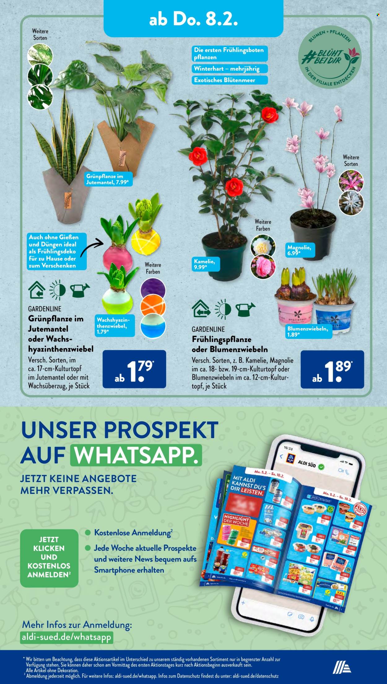 ALDI SÜD Prospekte  - 5.02.2024 - 10.02.2024. Seite 23