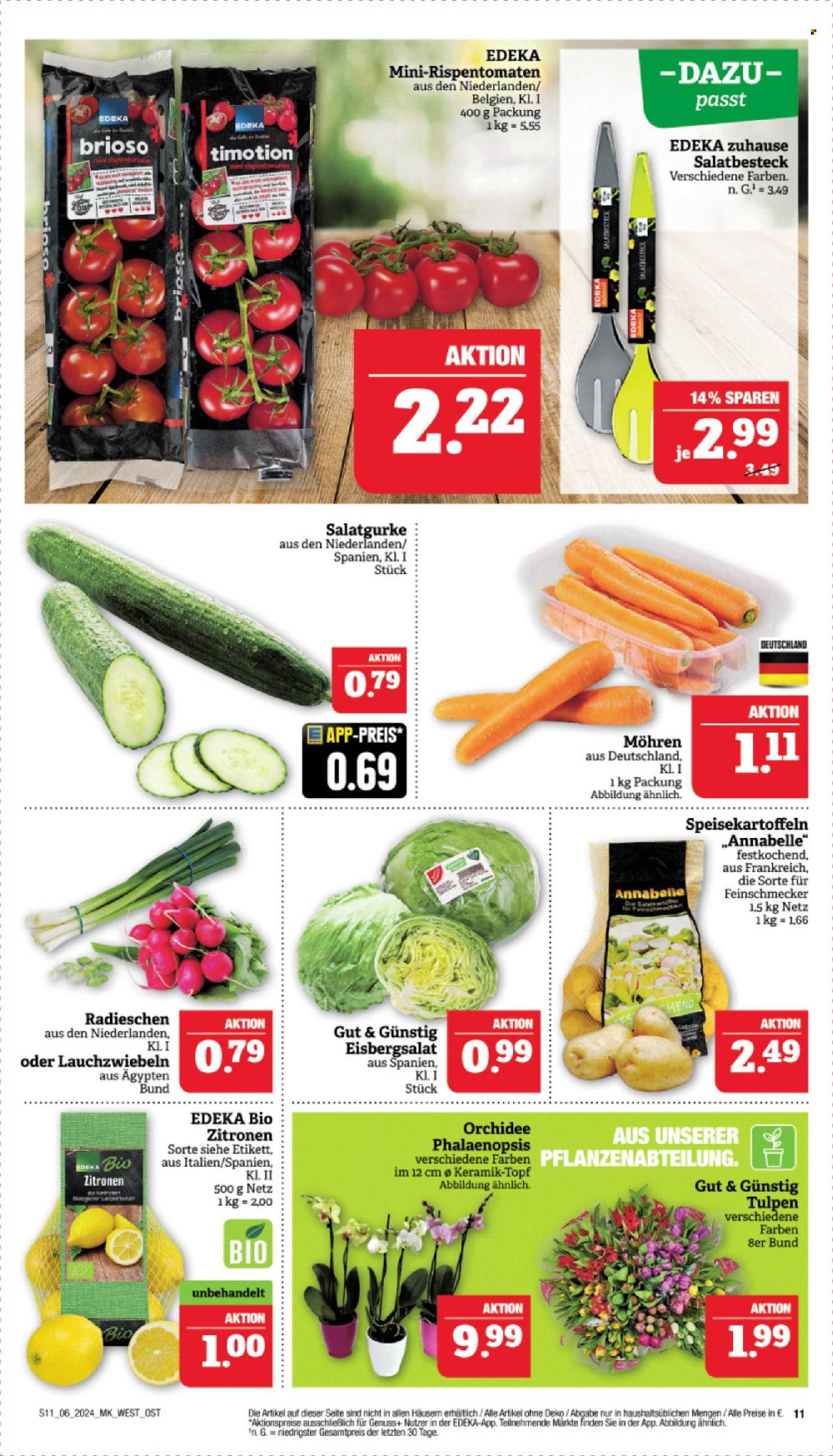 Marktkauf Prospekte  - 5.02.2024 - 10.02.2024. Seite 11