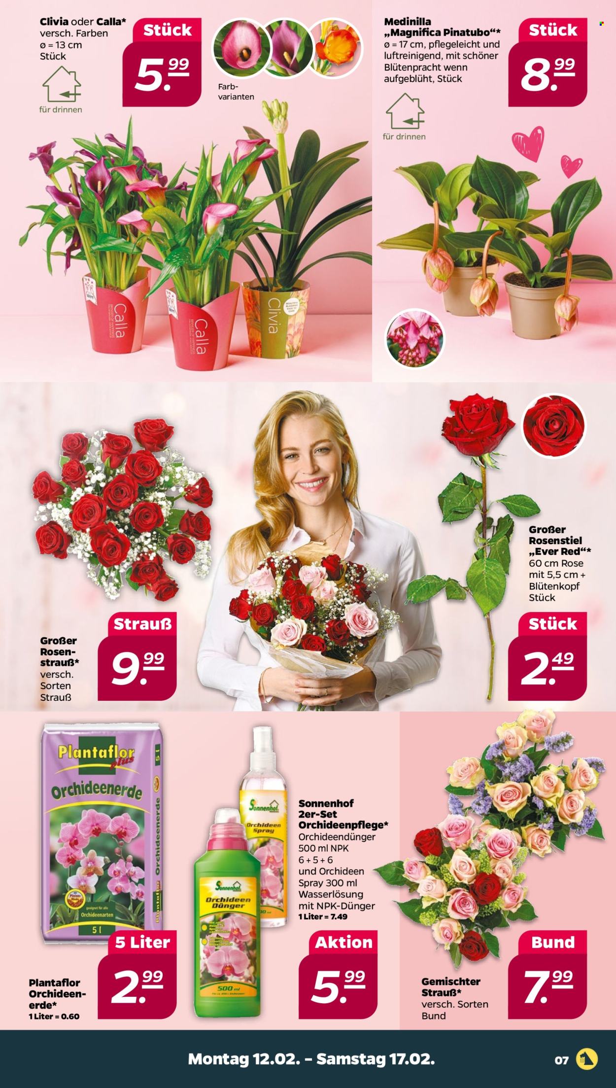 Netto Prospekte  - 12.02.2024 - 17.02.2024. Seite 7