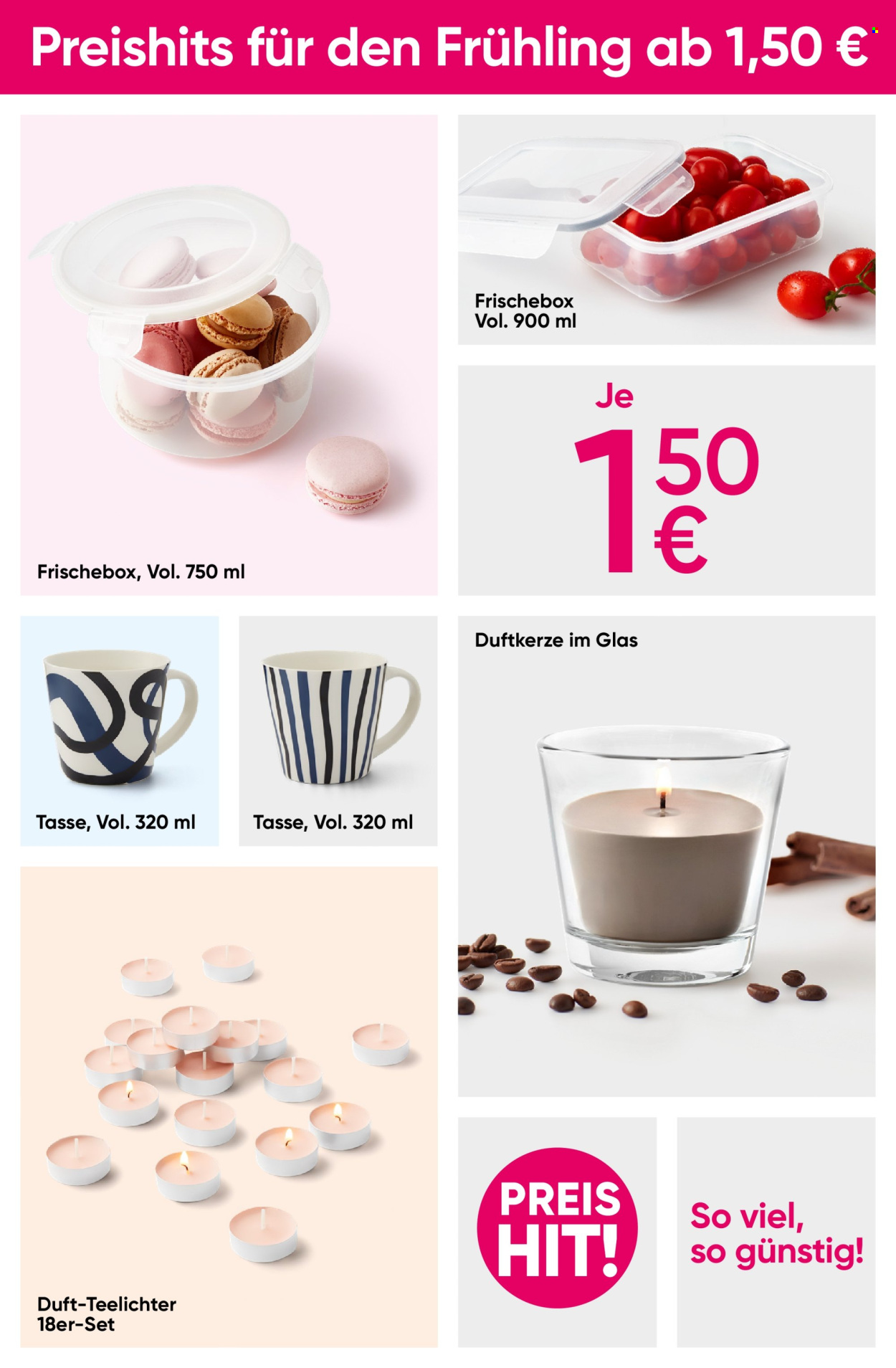 Pepco Prospekte  - 8.02.2024 - 28.02.2024. Seite 4