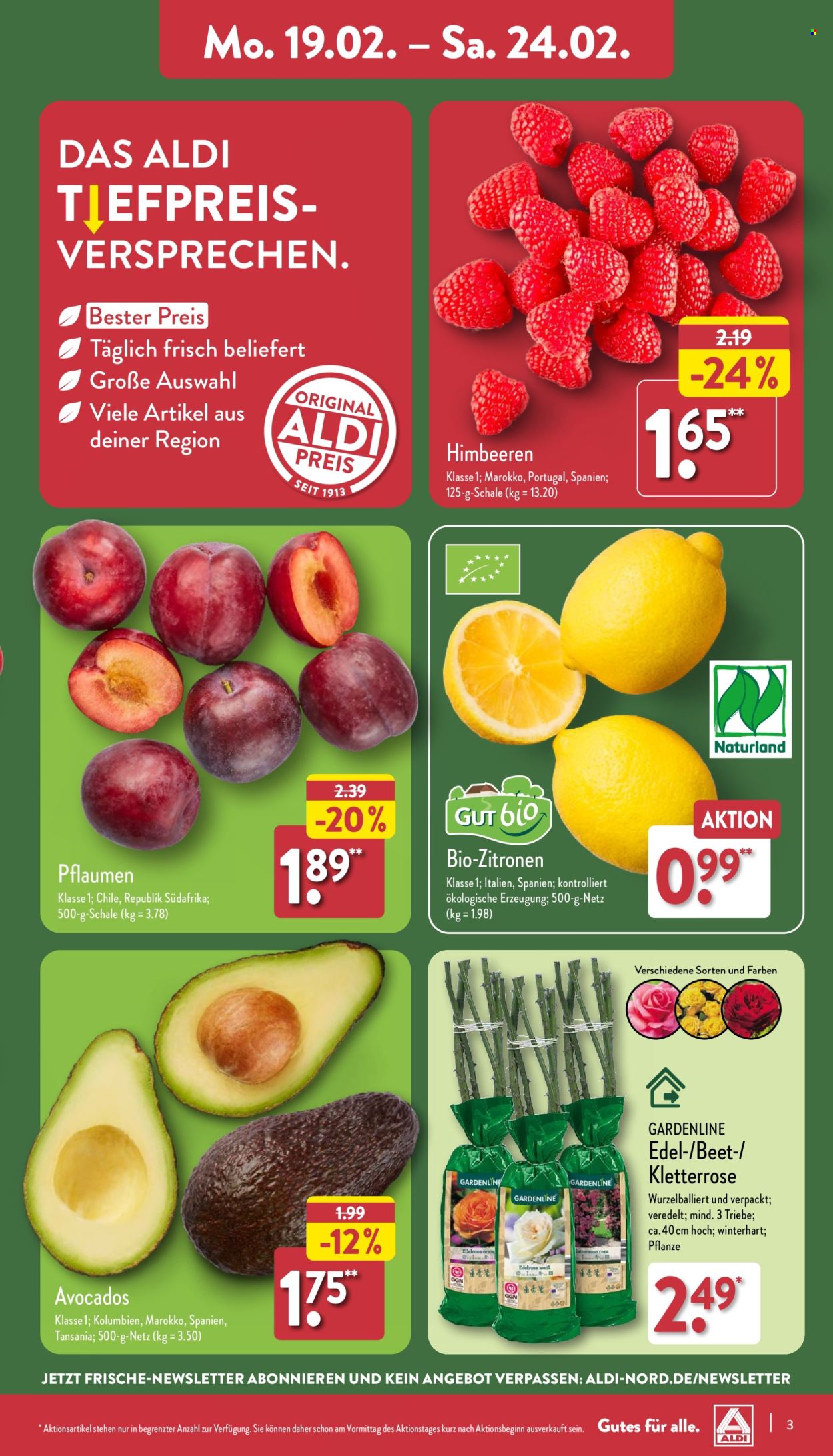 ALDI Nord Prospekte  - 19.02.2024 - 24.02.2024. Seite 3
