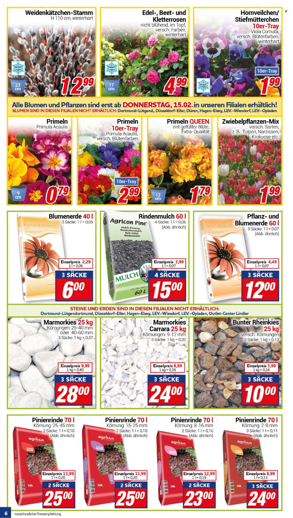 CENTERSHOP Prospekte  - 12.02.2024 - 17.02.2024. Seite 6