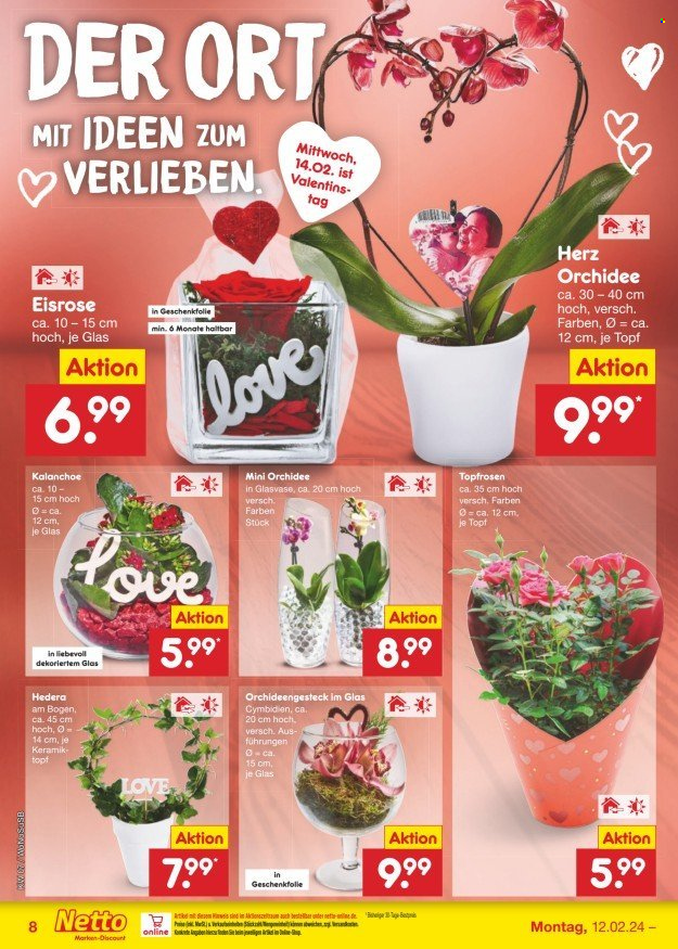 Netto Marken-Discount Prospekte  - 12.02.2024 - 17.02.2024. Seite 8