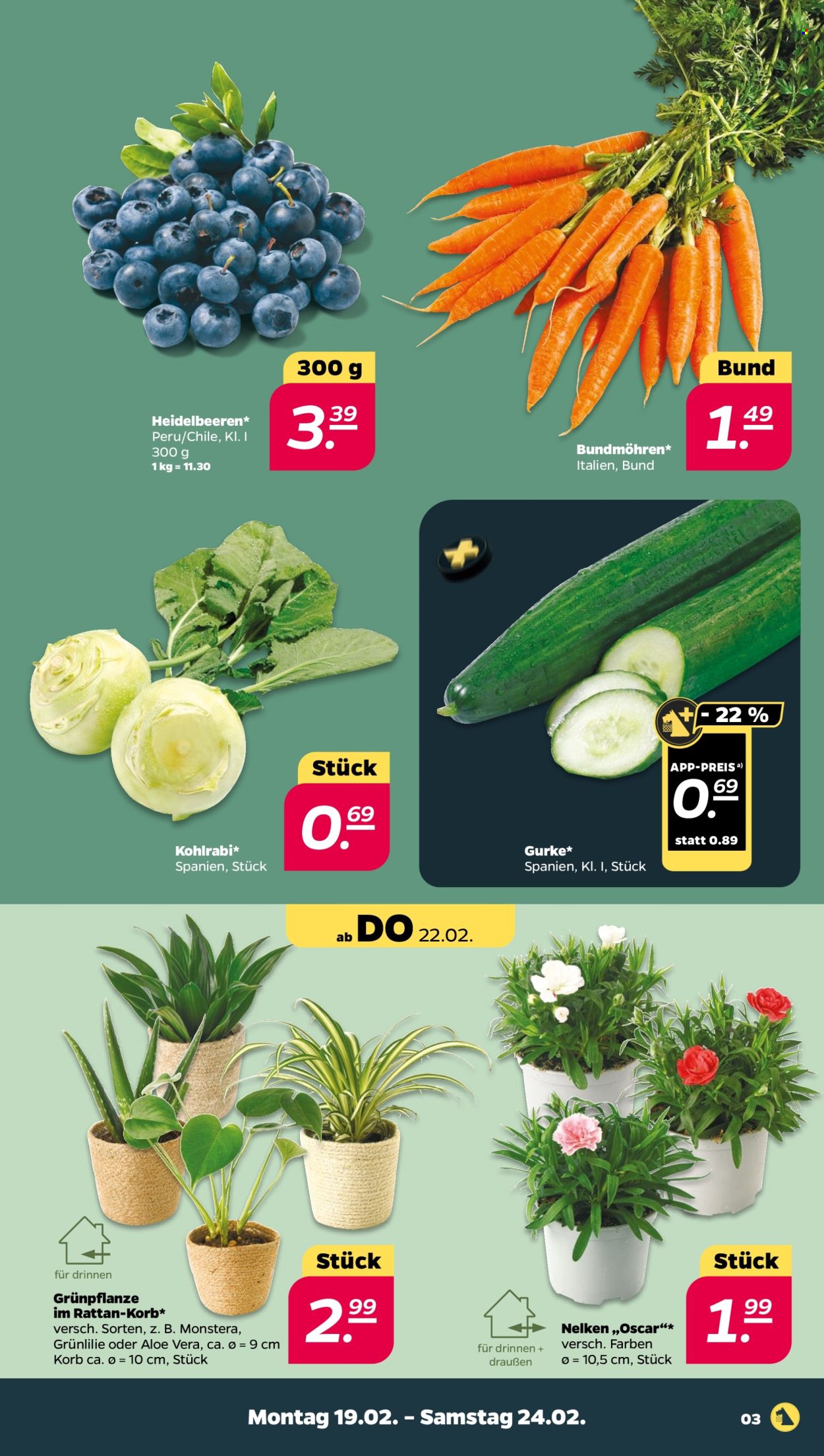 Netto Prospekte  - 19.02.2024 - 24.02.2024. Seite 3