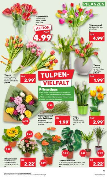 thumbnail - Zimmerpflanzen