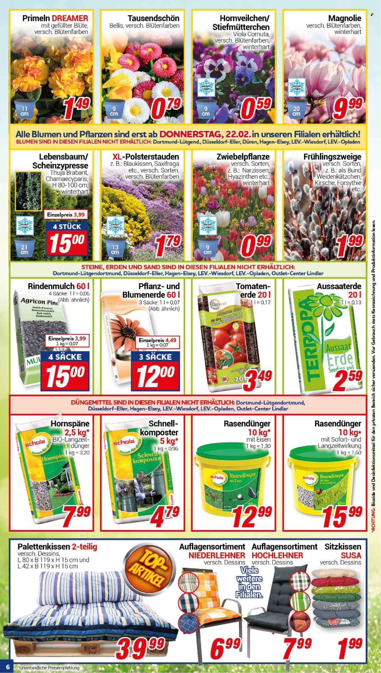 CENTERSHOP Prospekte  - 19.02.2024 - 24.02.2024. Seite 6