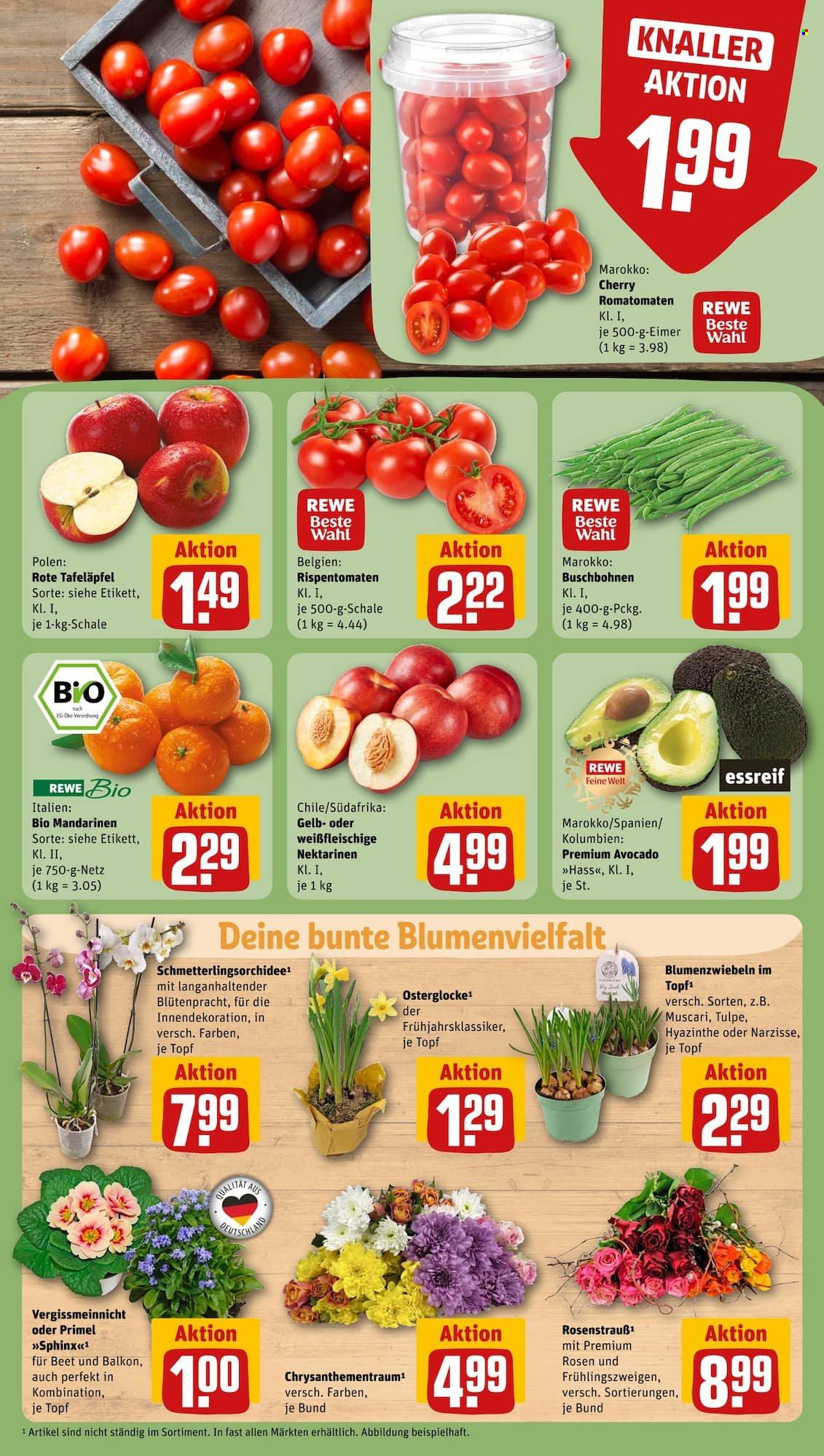 REWE Prospekte  - 19.02.2024 - 24.02.2024. Seite 7
