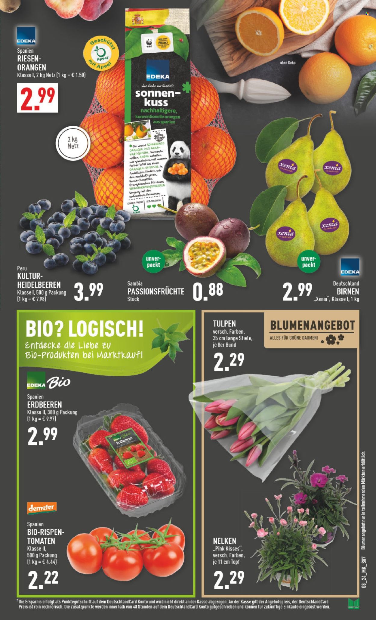 Marktkauf Prospekte  - 19.02.2024 - 24.02.2024. Seite 7