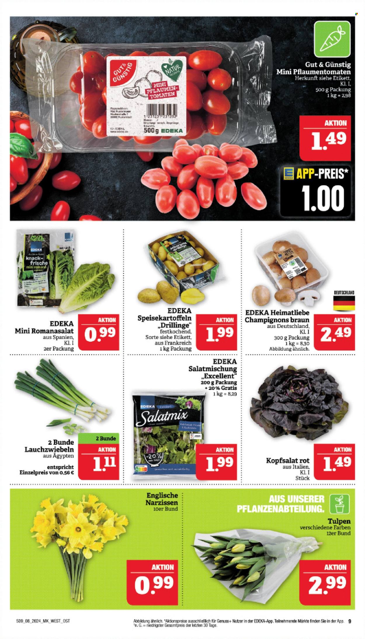 Marktkauf Prospekte  - 19.02.2024 - 24.02.2024. Seite 9