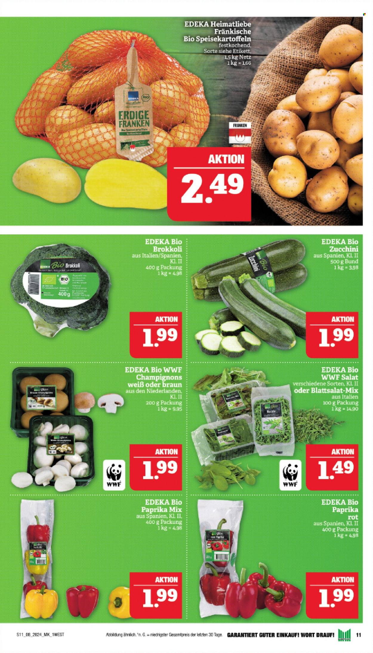 Marktkauf Prospekte  - 19.02.2024 - 24.02.2024. Seite 11