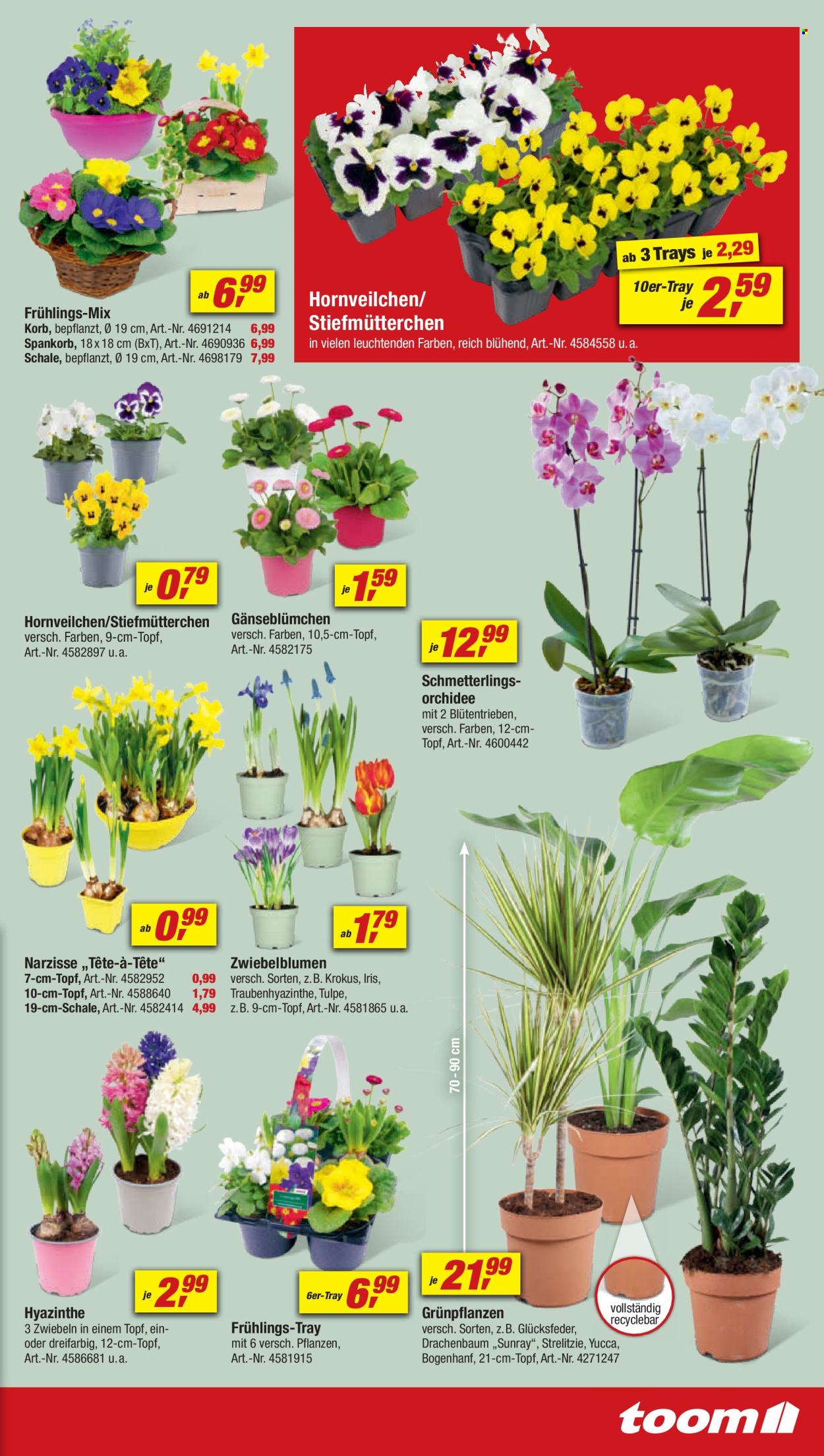 toom Baumarkt Prospekte  - 24.02.2024 - 1.03.2024. Seite 3