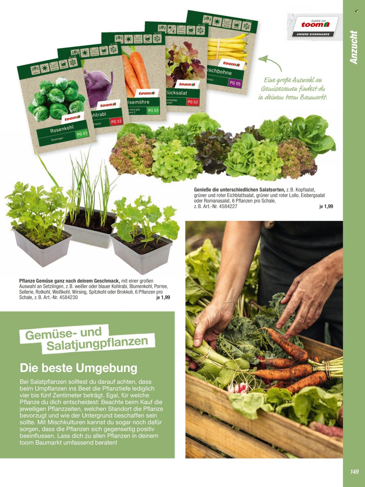 toom Baumarkt Prospekte  - 20.02.2024 - 30.04.2024. Seite 149