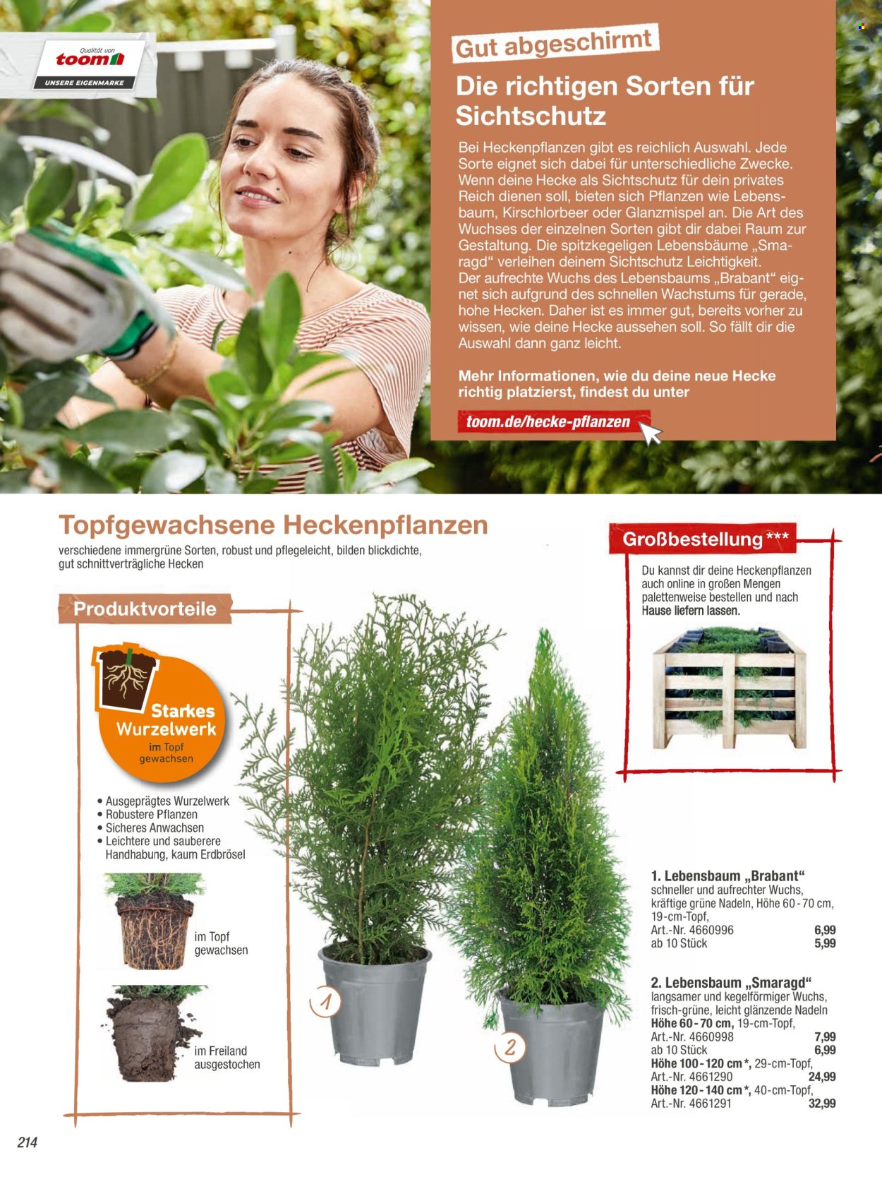 toom Baumarkt Prospekte  - 20.02.2024 - 30.04.2024. Seite 214
