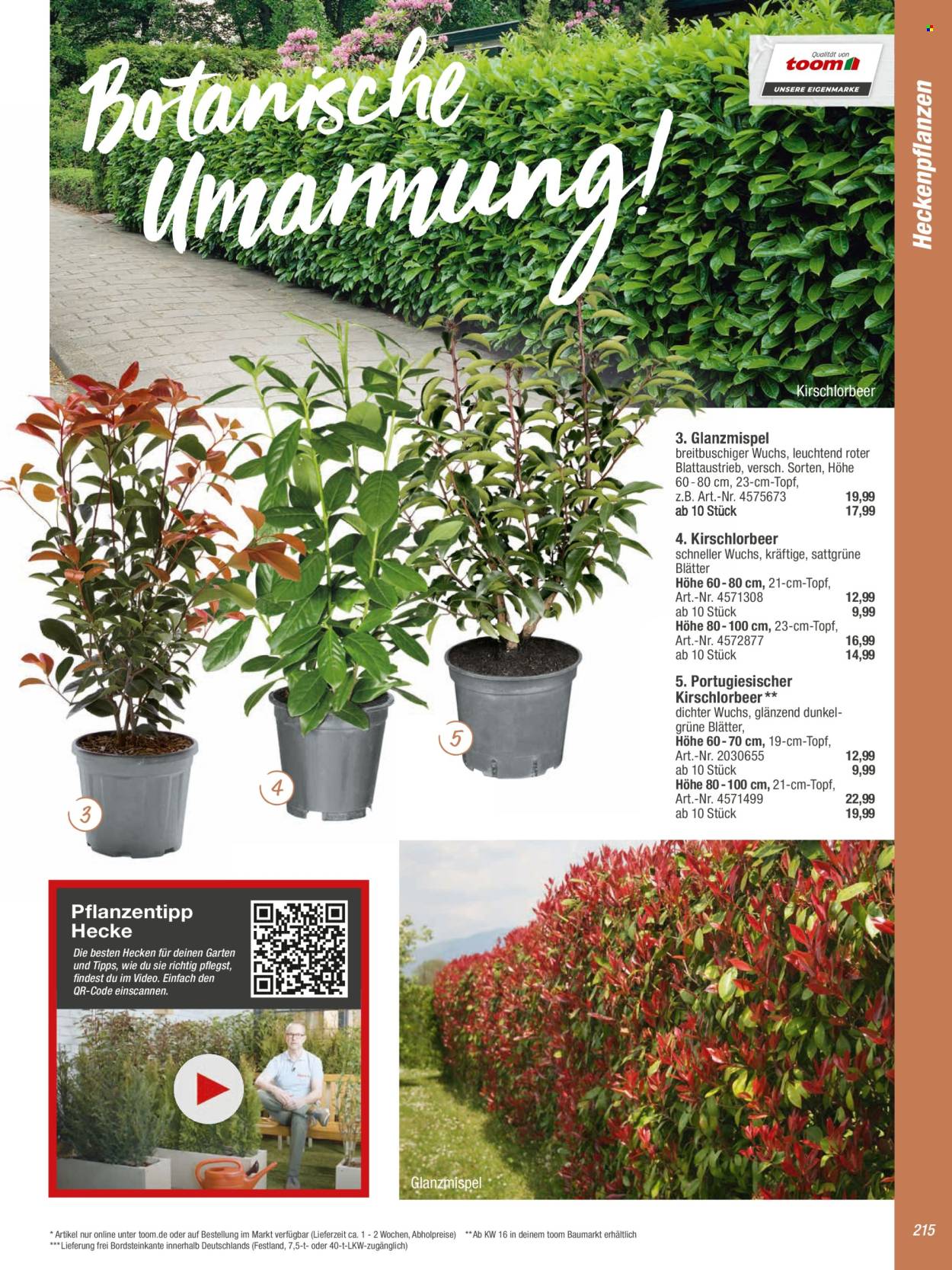toom Baumarkt Prospekte  - 20.02.2024 - 30.04.2024. Seite 215