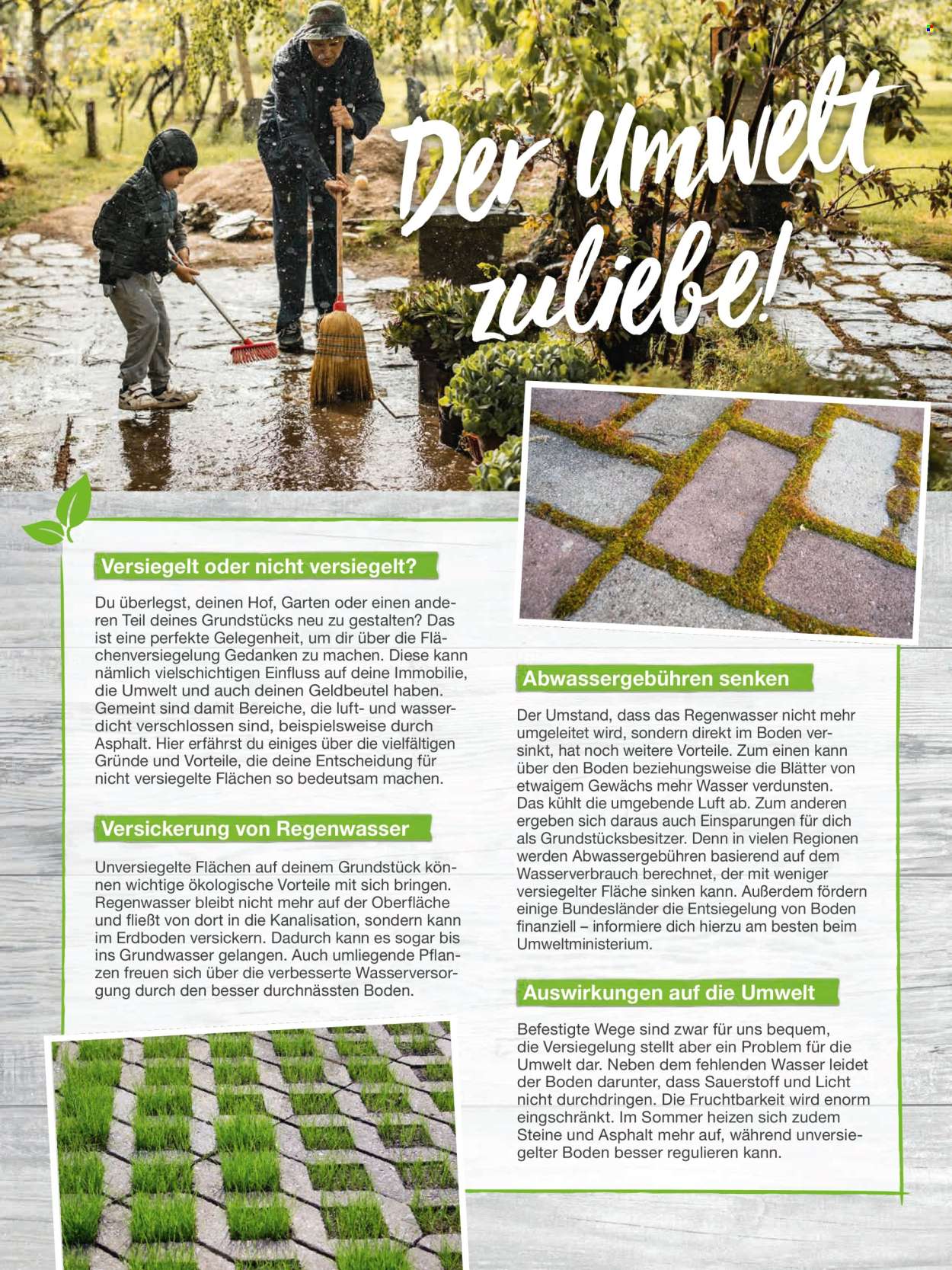 toom Baumarkt Prospekte  - 20.02.2024 - 30.04.2024. Seite 322