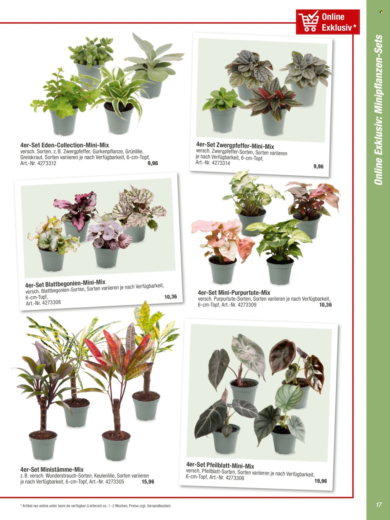 toom Baumarkt Prospekte  - 20.02.2024 - 31.05.2024. Seite 17