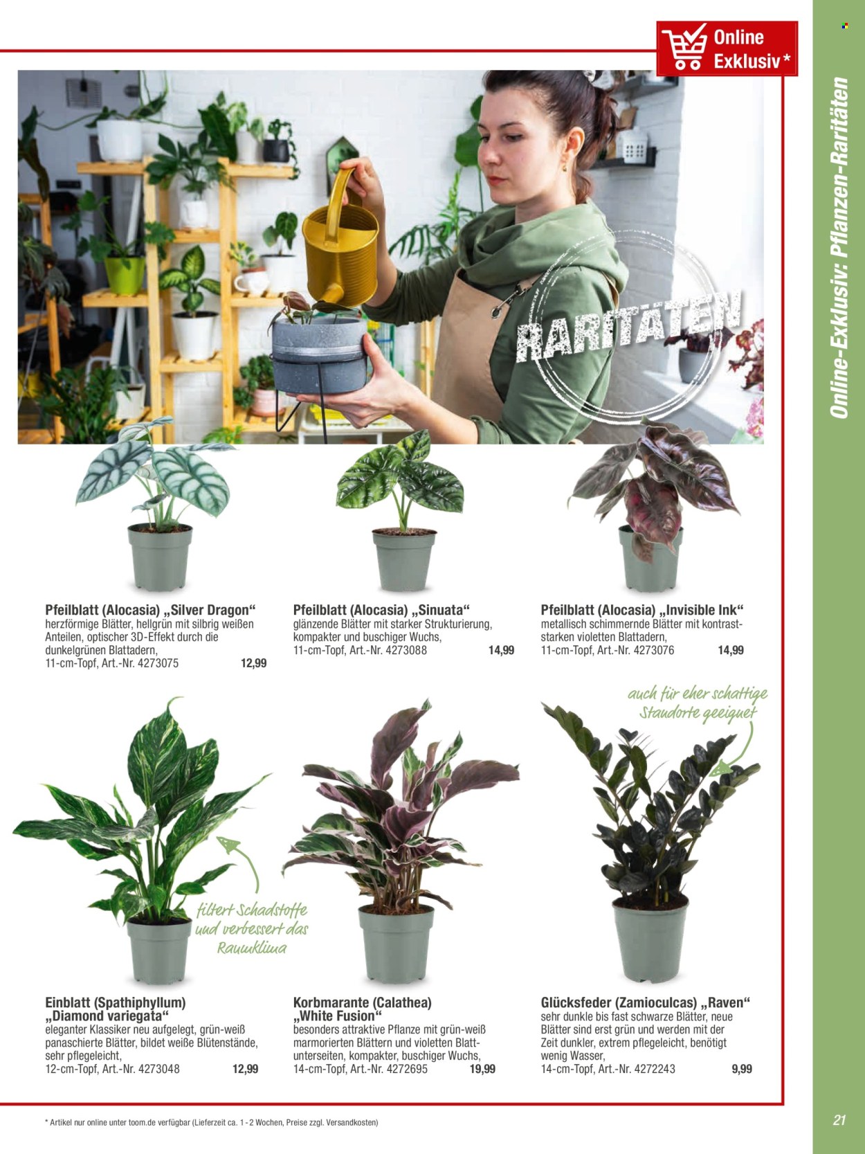 toom Baumarkt Prospekte  - 20.02.2024 - 31.05.2024. Seite 21